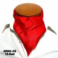 Cravat Self Tie Ascot All Colors Microfiber