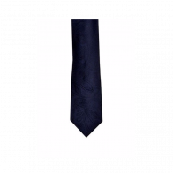 Mens Necktie Navy Blue Paisley Polyester Tie