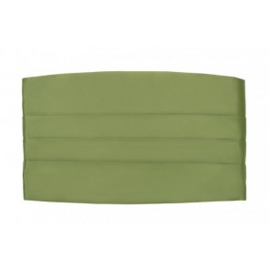 Mens Sage CLOSEOUT Cummerbund ONLY