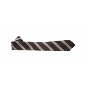 Brown and Tan Stripe Slinny Necktie Long Tie