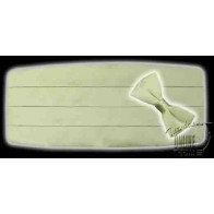 Boys Cummerbund and Bowtie Solid Satin LIght SAGE GREEN Sale Overstock