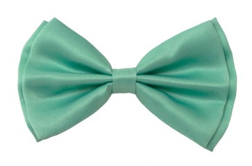 Pastel Mint Green Adjustable Bowtie