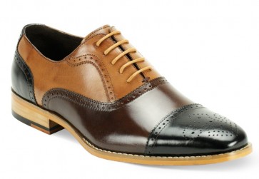 Bailey Multi Color Wing Tip Dress Shoe