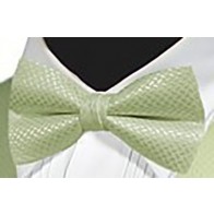 Bowtie GEO KIWI Satin Pre Tied Bow Tie