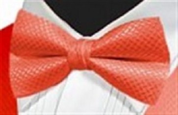 Bowtie GEO RASPBERRY Satin Pretied Bow Tie