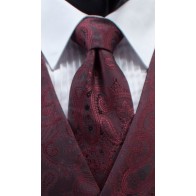 Paisley Necktie All Colors Mens Self Tie Long Tie