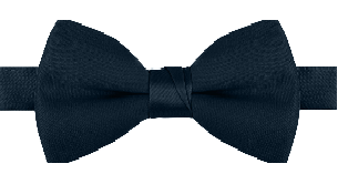 Mens Navy Poplin Poly Pre tied bowtie Non Shinny