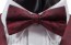 Bowtie Paisley Satin Pre Tied Bow Tie With necktie and pocket square option