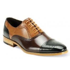 Bailey Multi Color Wing Tip Dress Shoe