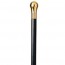 Walking Stick Oval Brass Cane with Gold Finish