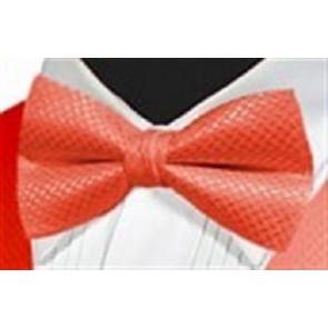 Bowtie GEO RASPBERRY Satin Pretied Bow Tie