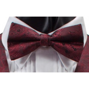 Bowtie Paisley Satin Pre Tied Bow Tie With necktie and pocket square option