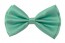 Pastel Mint Green Adjustable Bowtie
