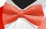 Bowtie GEO RASPBERRY Satin Pretied Bow Tie