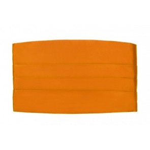 Boys Cummerbund ONLY With Optional Bowtie - Weddings- Proms