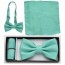 Mint Green Solid Color Bowtie and Pocket Square
