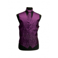 Mens Paisley Tone On Tone Purple Vest with Tie Set 