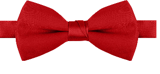 Mens Red Poplin Poly Pre tied bowtie Non Shinny