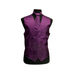 Mens Paisley Tone On Tone Purple Vest with Tie Set