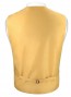 Mens Paisley Tone On Tone Gold Vest with Tie Set