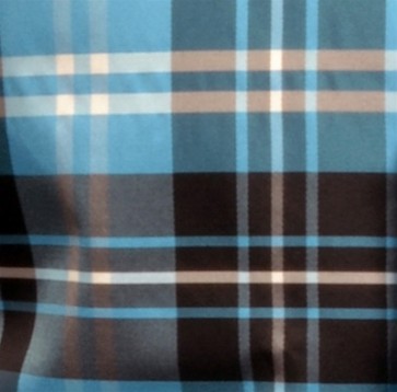 Plaid Swatch