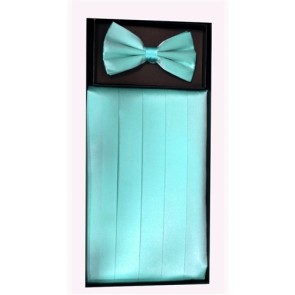 Silk Cummerbund and Bow Tie Set Men's All Color