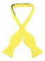 Mens Paisley Satin Self tie Bowtie Yellow