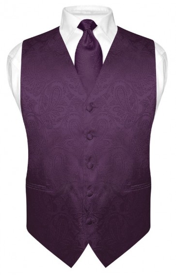 Mens Paisley Tone On Tone Plum Vest with Tie Set