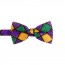 MARDI GRAS CUMMERBUND and Optional Bow Tie
