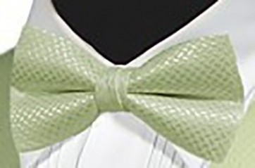 Bowtie GEO KIWI Satin Pre Tied Bow Tie