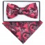 Boys Coral Flower Paisley Pattern Bowtie and pocket square