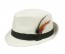 Black Banded WHITE Fedora Hat with Feather