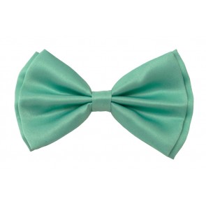 Pastel Mint Green Adjustable Bowtie