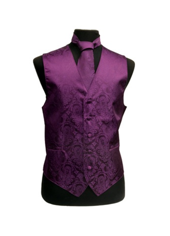 Mens Paisley Tone On Tone Purple Vest with Tie Set