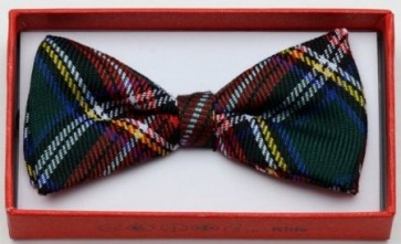 Boys Plaid Multi Color Bowtie