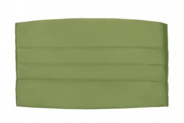 Mens Sage CLOSEOUT Cummerbund ONLY