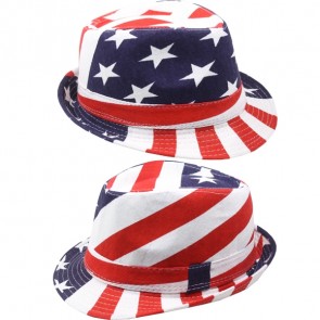 America Flag USA Fedora Hat