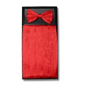 Mens Red Paisley Pattern Cummerbund and Bowtie Set with Self tie Bowtie Option