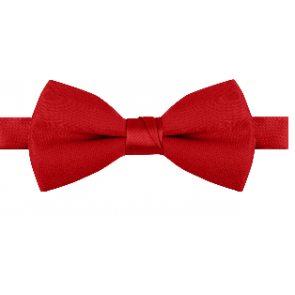 Mens Red Poplin Poly Pre tied bowtie Non Shinny